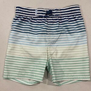 Striped Blue and Green Kids Swim Trunks